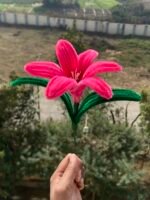 Pink Lily
