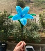 Blue Twilight Lily
