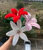 Pink Lily - Image 2