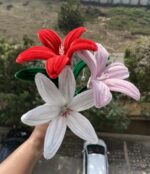 Pink Lily - Image 2
